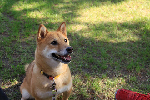 16resize7388.jpg