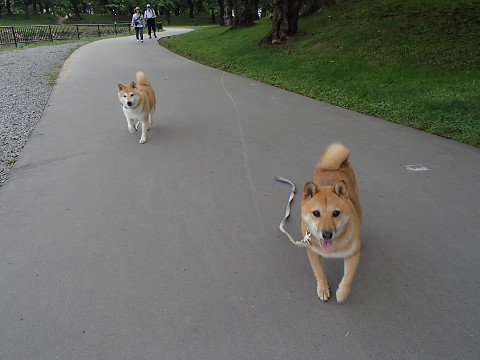 17resize0270.jpg