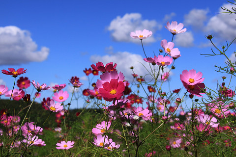 17resize0390.jpg