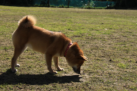 17resize0452.jpg