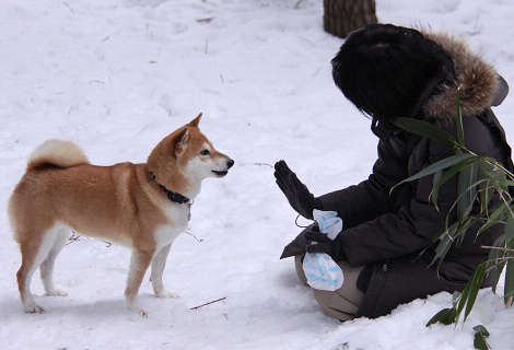 17resize0586.jpg