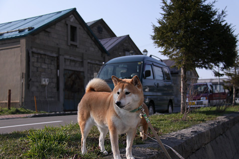 17resize0592.jpg