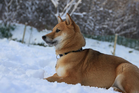 17resize1000.jpg