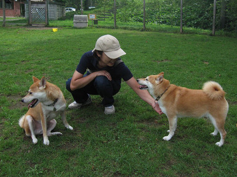 17resize2100.jpg