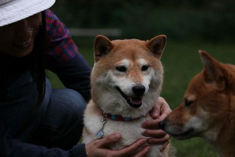 17resize2184.jpg