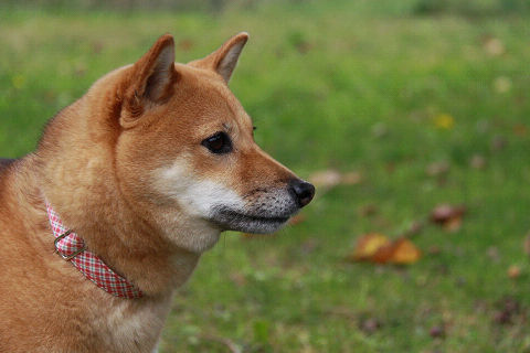 17resize2299.jpg