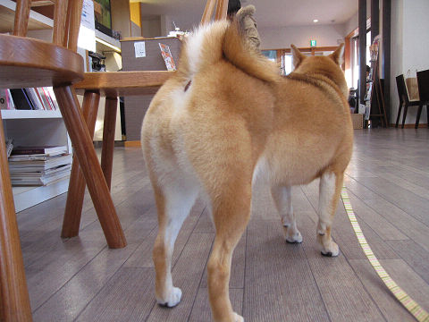 17resize2366.jpg