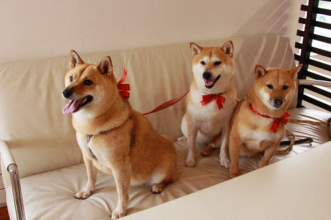 17resize3428.jpg