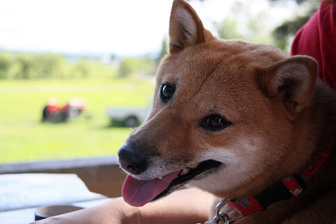 17resize3694.jpg
