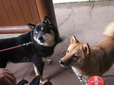 17resize5362.jpg