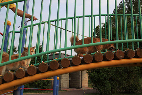 17resize5451.jpg