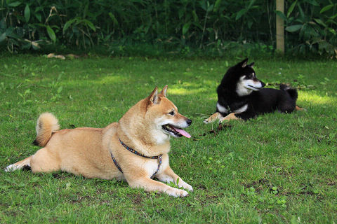 17resize5513.jpg