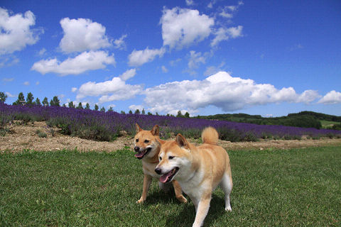 17resize5540.jpg