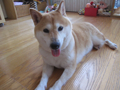 17resize5599.jpg