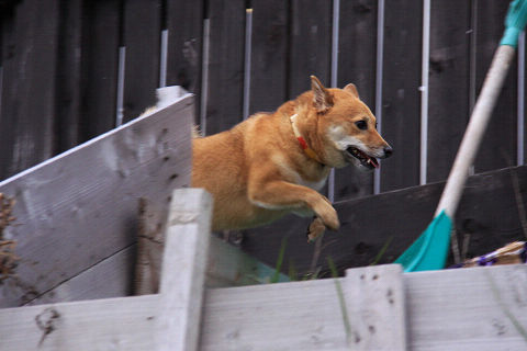 17resize6462.jpg