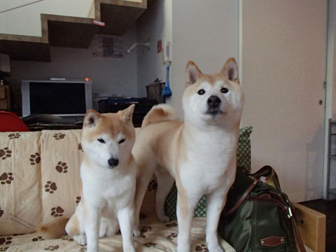 17resize6844.jpg