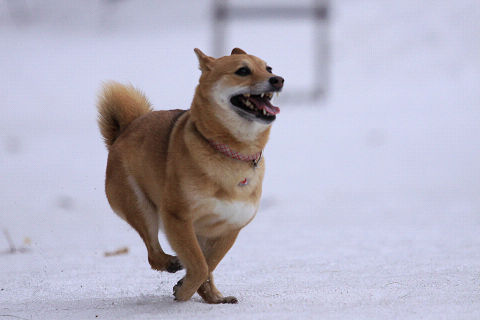 17resize6933.jpg