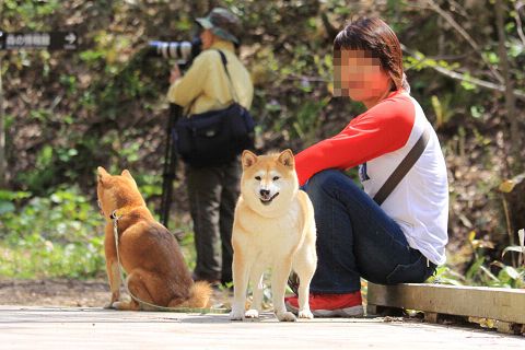 17resize7248.jpg