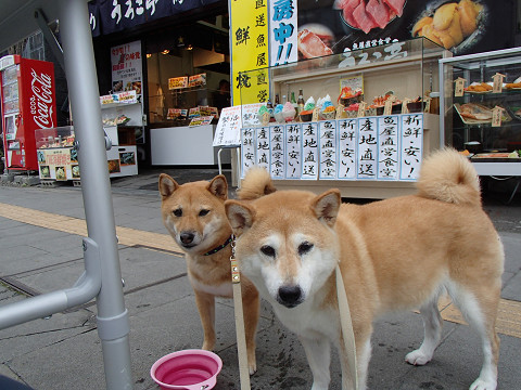 18resize0161.jpg
