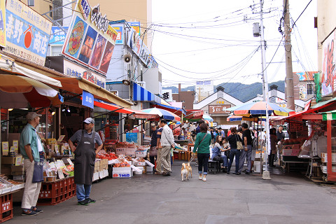 18resize0267.jpg