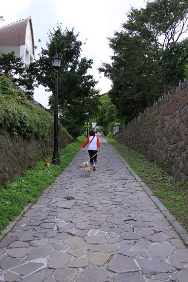 18resize0331.jpg