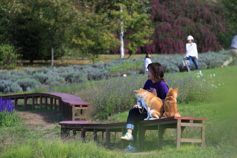 18resize0419.jpg