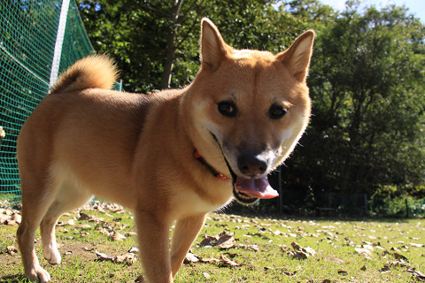 18resize0449.jpg