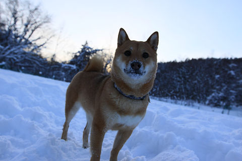 18resize1001.jpg