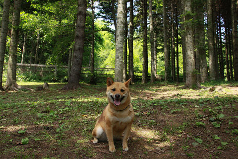 18resize3455.jpg