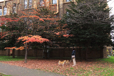 18resize4112.jpg