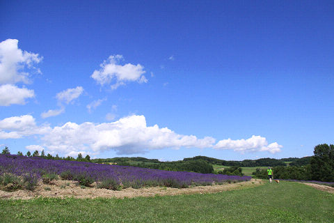 18resize5541.jpg