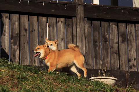 18resize6467.jpg