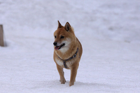 18resize6940.jpg