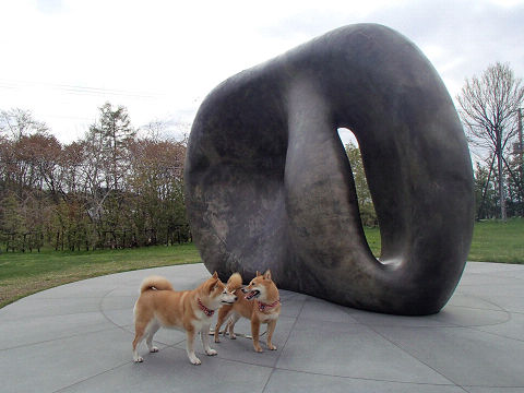 18resize7226.jpg
