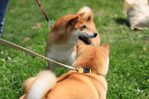 18resize7320.jpg