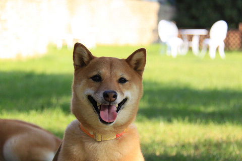 18resize7390.jpg