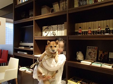 19resize0318.jpg