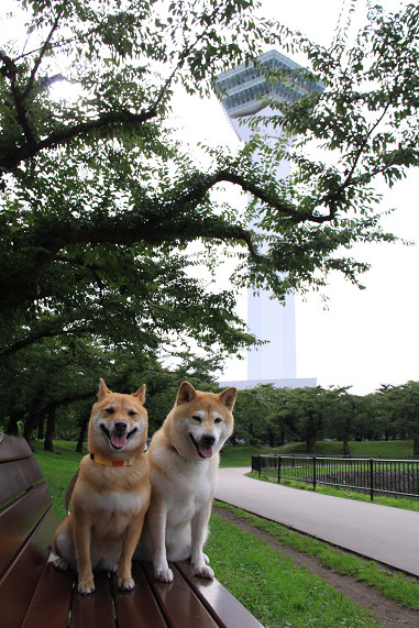 19resize0343.jpg