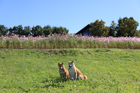 19resize0418.jpg