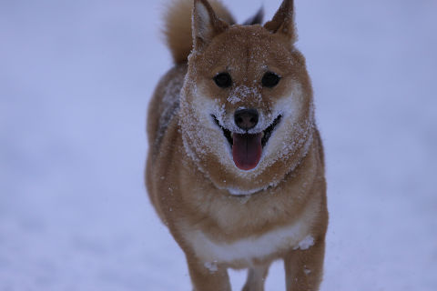 19resize0990.jpg