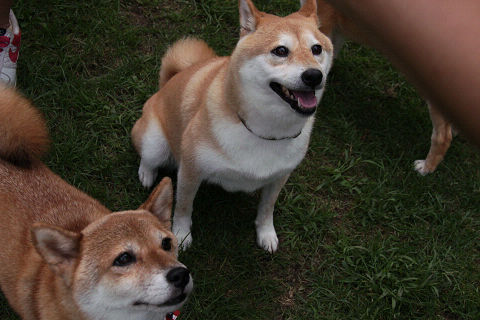 19resize2090.jpg