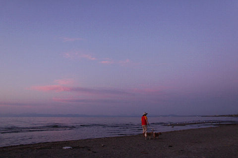 19resize3721.jpg