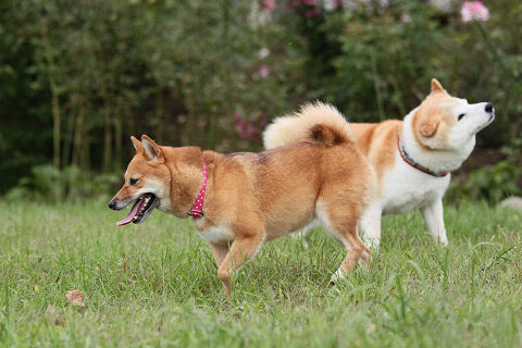 19resize3857.jpg