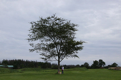 19resize3908.jpg
