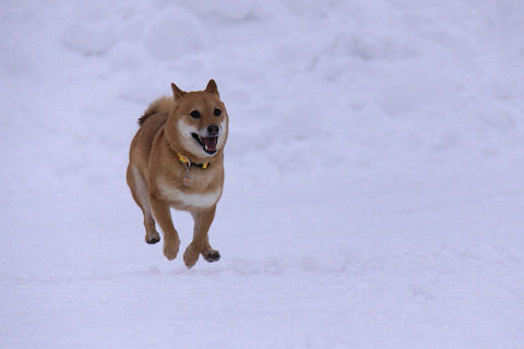 19resize6650.jpg