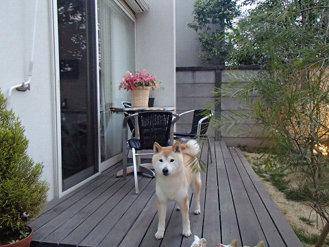 19resize6845.jpg