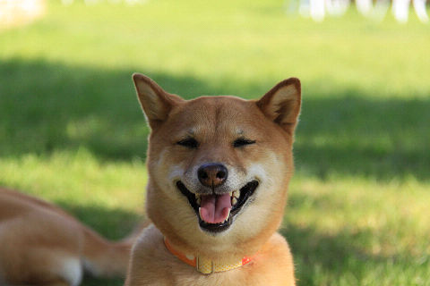 19resize7393.jpg