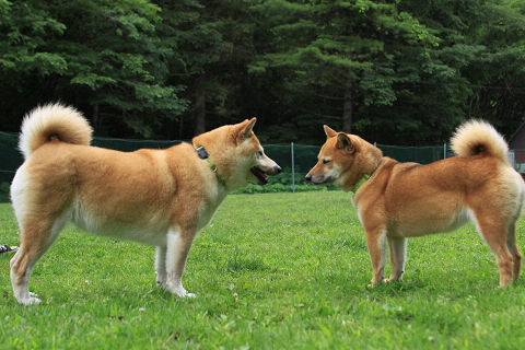 19resize7631.jpg