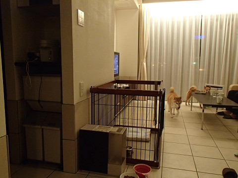 1resize0288.jpg