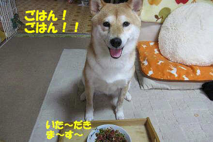 1resize0314.jpg
